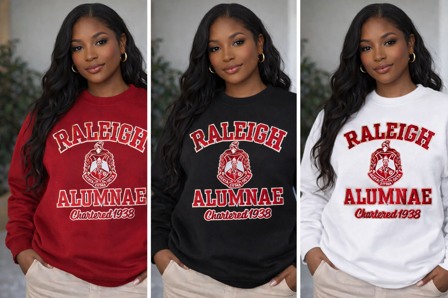 [CHENILLE]  RALEIGH ALUMNAE CHAPTER Chartered